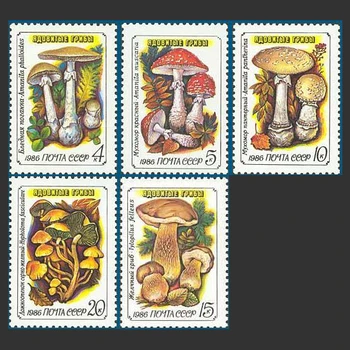 5Pcs/Set Noi CCCP Post de Timbru 1986 Ciuperci Otrăvitoare URSS Stamps MNH