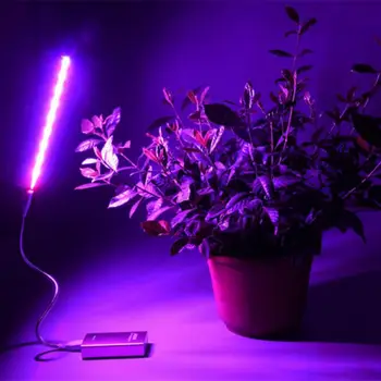 5V întregul Spectru de Lumină Iluminat Interior USB LED Cresterea Plantelor Lumina Seră Hidroponică a Plantelor Creștere Lampa de Interior Plante de Iluminat