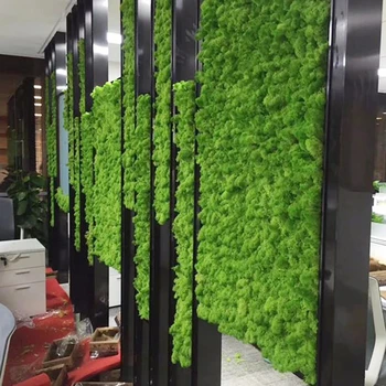 De înaltă Calitate DIY Flori Artificiale Verde Planta Nemuritoare Flori False Moss Iarba de Acasă Living Decorative de Perete Mini Accesorii