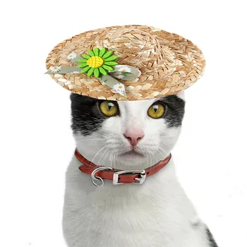 Mici Daisy Paie Pisica Țesute Pălărie Umbrelă De Soare Animale De Companie Pălărie Sombrero Pentru Câini De Talie Mică Pisici Petrecere Pe Plaja Paie Costum De Pisica Accesorii