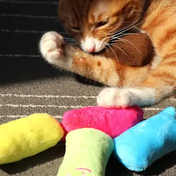 Dentiție catnip игрушки interactiv de distracție de pluș jucărie pisica pisoi animale de companie mestecat vocal jucărie degetul mic catnip pisica accesorii