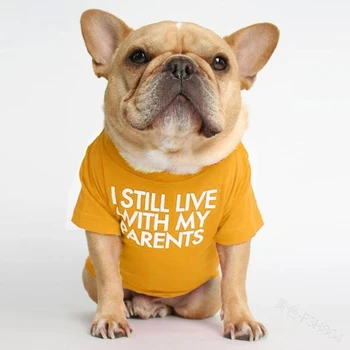 Dropshipping Câine Îmbrăca Gât T-Shirt Stil Hip-Hop Bichon Teddy Bulldog Francez Și Câini De Talie Mică, Moale, Respirabil Consumabile Pentru Animale De Companie