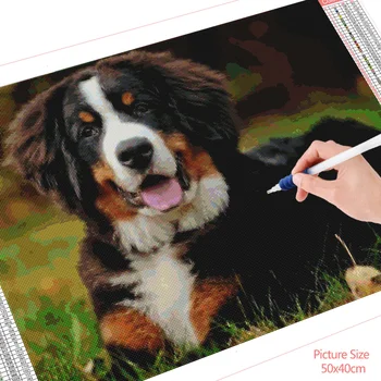 HUACAN Diamant Pictura Bernese Mountain Dog cruciulițe Kituri Complete de Gaurit cu Diamant Mozaic Animal Home Decor Cadou