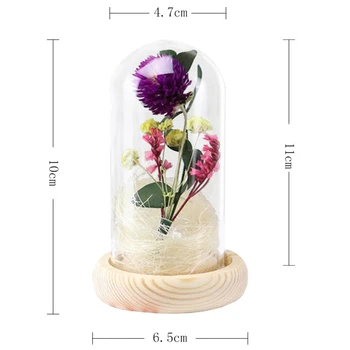 Artificiale Veșnică Floare în Capac de Sticlă Conservate Gomphrena Globosa Flori Uscate Flori, Ornamente pentru Masă Îndrăgostiților, Ziua mamei
