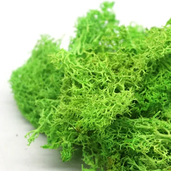 Artificială de înaltă Calitate Planta Viața Veșnică Moss Decor de Perete DIY Flori Peisaj plin de culoare Moss Iarba de Crăciun Decor Gradina