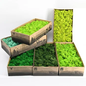 De înaltă Calitate DIY Flori Artificiale Verde Planta Nemuritoare Flori False Moss Iarba de Acasă Living Decorative de Perete Mini Accesorii