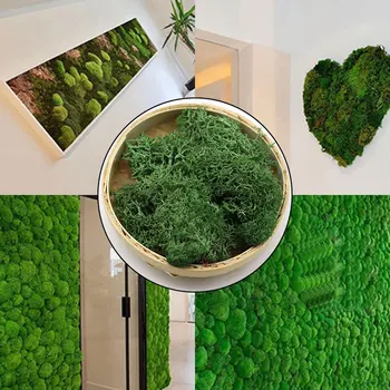 Artificială de înaltă Calitate Planta Viața Veșnică Moss Decor de Perete DIY Flori Peisaj plin de culoare Moss Iarba de Crăciun Decor Gradina