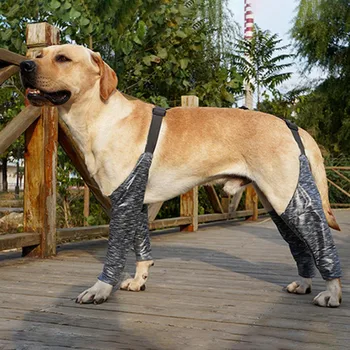 Câine de Recuperare Cămașă în aer liber cu Patru picioare Pantaloni Canin Sling Picior Acoperi Salopeta Anti Lins Rănile Ajuta Agent de Vindecare