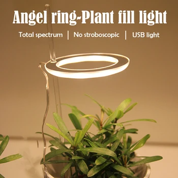 LED Timer Suculente Cresc Lumini Răsad de Creștere a Plantelor Inel Lampa USB Imita Lumina Soarelui cu efect de Seră în Alb Lampa cu Spectru Complet