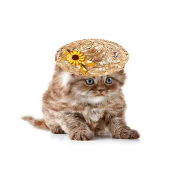 Mici Daisy Paie Pisica Țesute Pălărie Umbrelă De Soare Animale De Companie Pălărie Sombrero Pentru Câini De Talie Mică Pisici Petrecere Pe Plaja Paie Costum De Pisica Accesorii