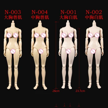 N001/N002/N003/N004 1/6 Scară de sex Feminin Pal/ten Normal Mare/Mijlociu Bust Corpul Modelul de 12