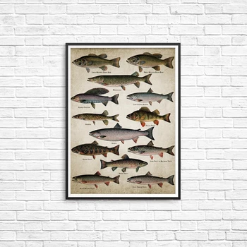 Pescuit Pescuit de Artă Panza Pictura, Postere, Printuri Rase De Pește Pește de apă Dulce Perete Imagine pentru Acasă Decorare Camera de Perete Dec